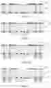 Fig. 04 - Antenna package structure and antenna packaging method