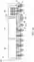 Fig. 08 - Chip package structure
