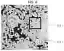 Fig. 07 - Light emitting diode element and method for manufacturing same