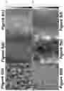 Fig. 06 - NOVEL WEAK DONOR-ACCEPTOR CONJUGATED COPOLYMERS FOR FIELD- EFFECT TRANSISTOR APPLICATIONS