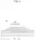 Fig. 09 - Organic light emitting diode display and method for manufacturing the same