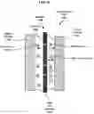 Fig. 04 - Electrochemical cells with ionic sequestration provided by porous separators