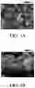 Fig. 03 - Protective layers comprising metals for electrochemical cells