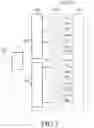 Fig. 06 - Apparatus and method for selecting frequency band