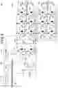 Fig. 07 - Suppressing circuit for semiconductor switch