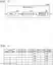 Fig. 09 - Communication apparatus, distributed antenna system, and switching method