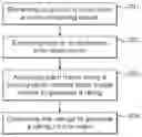 Fig. 01 - Video analysis method and system