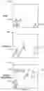 Fig. 02 - Systems and methods for minimizing obstruction of a media asset by an overlay by predicting a path of movement of an object of interest of the media asset and avoiding placement of the overlay in the path of movement