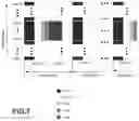 Fig. 08 - Multiplexing multi-radio access technology transmissions