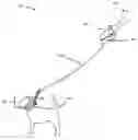 Fig. 01 - Water walking leash