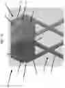 Fig. 02 - HEXAGONAL BEE HIVE