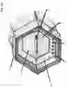 Fig. 10 - HEXAGONAL BEE HIVE