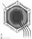 Fig. 25 - HEXAGONAL BEE HIVE