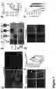 Fig. 02 - ANIMAL MODEL FOR DRUG DEVELOPMENT
