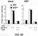Fig. 10 - Parkinson's disease model and methods