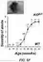 Fig. 12 - Parkinson's disease model and methods