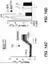 Fig. 27 - Parkinson's disease model and methods