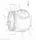Fig. 04 - Protective underwear including disposal assembly