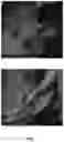 Fig. 08 - Crystal forms of tetrahydro-n,n-dimethyl-2,2-diphenyl-3-furanmethanamine hydrochloride, processes of making such forms, and their pharmaceutical compositions