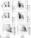 Fig. 02 - Activation of marrow infiltrating lymphocytes in hypoxic alternating with normoxic conditions