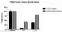 Fig. 01 - Compositions and methods for the treatment of plaques and tangles in humans and animals