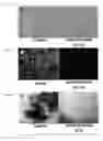 Fig. 03 - Compositions and methods for the treatment of plaques and tangles in humans and animals