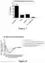 Fig. 06 - Compositions and methods for the treatment of plaques and tangles in humans and animals