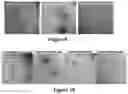 Fig. 07 - Compositions and methods for the treatment of plaques and tangles in humans and animals