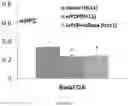 Fig. 09 - METHODS OF ADMINISTRATION OF NMDA RECEPTOR AGONISTS