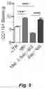 Fig. 06 - Methods and compositions for modulating opioid withdrawal symptoms