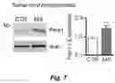 Fig. 08 - Methods and compositions for modulating opioid withdrawal symptoms