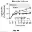 Fig. 45 - Methods and compositions for modulating opioid withdrawal symptoms