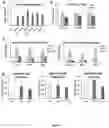 Fig. 04 - TARGETING OF INTERFERON-STIMULATED GENE EXPRESSION TO TREAT INTERFERONOPATHIES