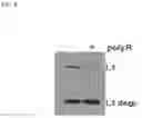 Fig. 09 - Arginine-rich polypeptide compositions and methods of using same
