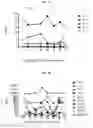 Fig. 09 - STEROID ADMINISTRATION AND IMMUNOTHERAPY