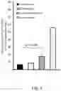 Fig. 07 - METHODS TO ENHANCE NERVE REGENERATION UTILIZING NEURAL STEM CELLS AND IL12P40
