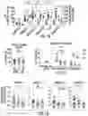 Fig. 02 - MODULATION OF ISCHEMIC CELL BIOENERGETICS