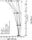 Fig. 06 - METHODS OF SELECTING SUBJECTS FOR COMBINATION CANCER THERAPY WITH A POLYMER-CONJUGATED SOLUBLE PH20