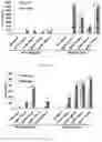 Fig. 24 - Use of nanoparticles for immunotherapy
