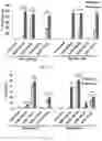 Fig. 25 - Use of nanoparticles for immunotherapy