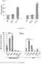 Fig. 43 - Use of nanoparticles for immunotherapy