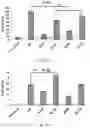 Fig. 47 - Use of nanoparticles for immunotherapy