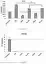 Fig. 48 - Use of nanoparticles for immunotherapy