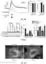 Fig. 07 - Methods for Treating Bone-Related Disorders