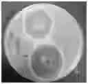 Fig. 01 - Antimicrobial insect repellent composition