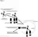 Fig. 02 - Delivery system for targeted delivery of a therapeutically active payload
