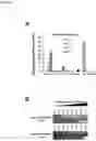 Fig. 07 - Delivery system for targeted delivery of a therapeutically active payload