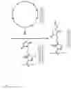 Fig. 03 - Coating of Nanoparticle Surfaces with Cyclopeptides for Improving Delivery of Agents Via the Oral Route