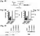 Fig. 02 - COMPOSITIONS FOR THE INACTIVATION OF VIRUS REPLICATION AND METHODS OF MAKING AND USING THE SAME