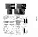 Fig. 07 - Materials and methods for delivering nucleic acids to cochlear and vestibular cells